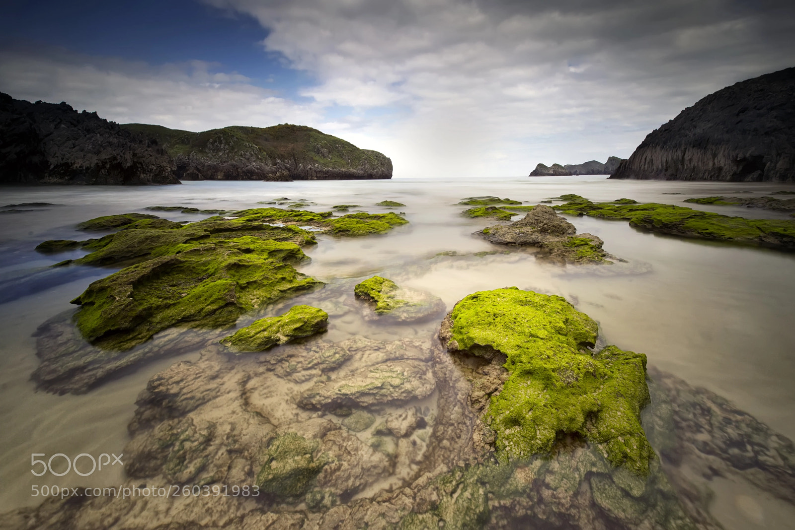 Nikon D610 sample photo. Green photography