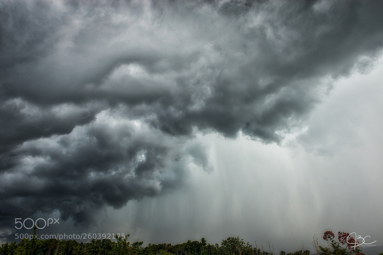 Nikon D800 sample photo. Rain photography