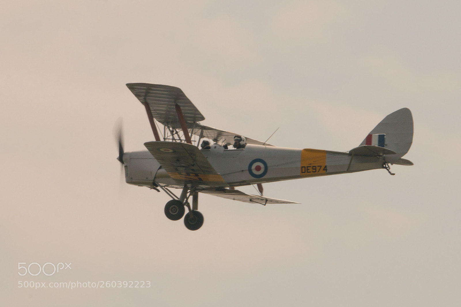Canon EOS 70D sample photo. Tiger moth photography