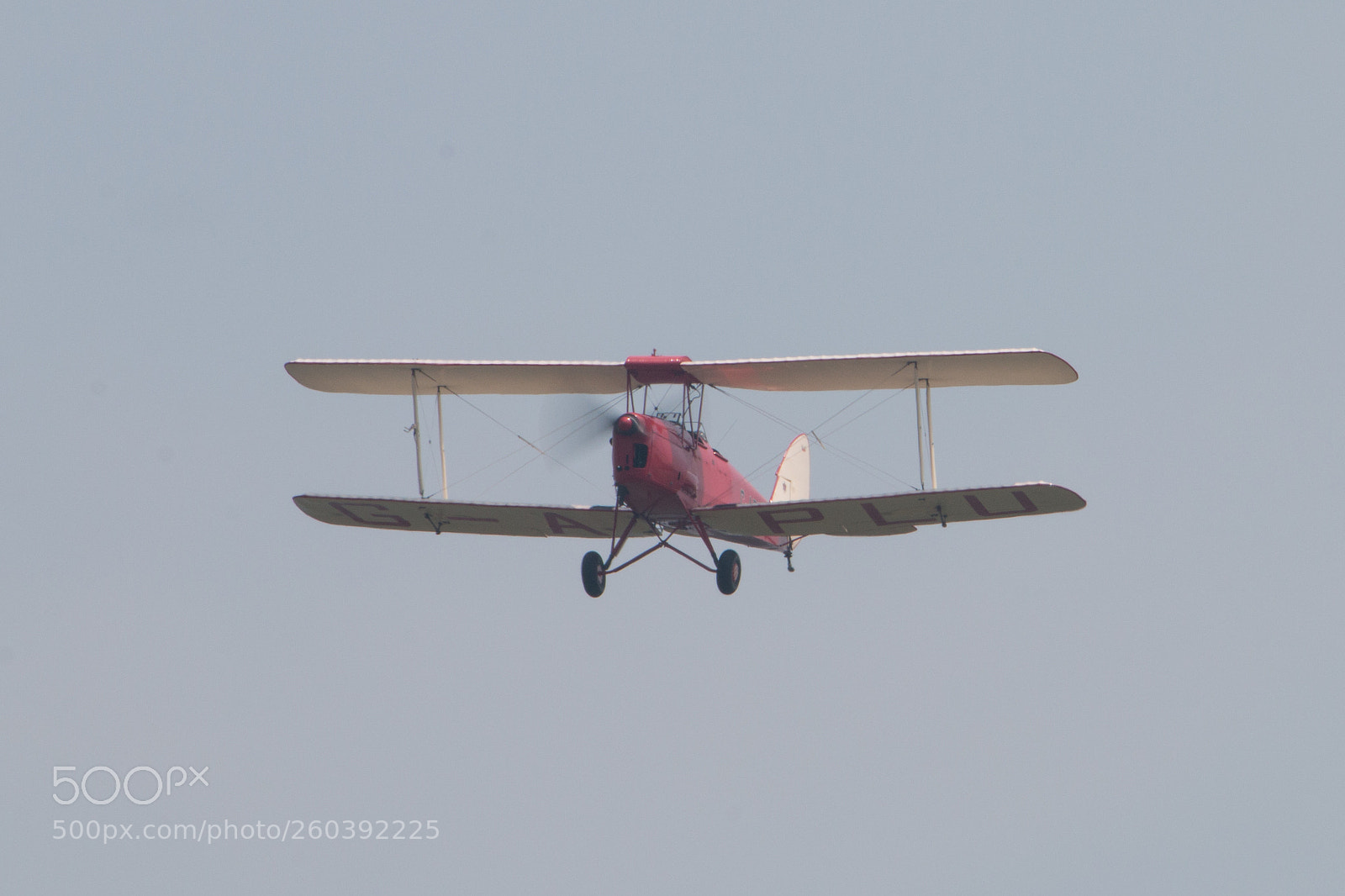 Canon EOS 70D sample photo. Tiger moth d photography
