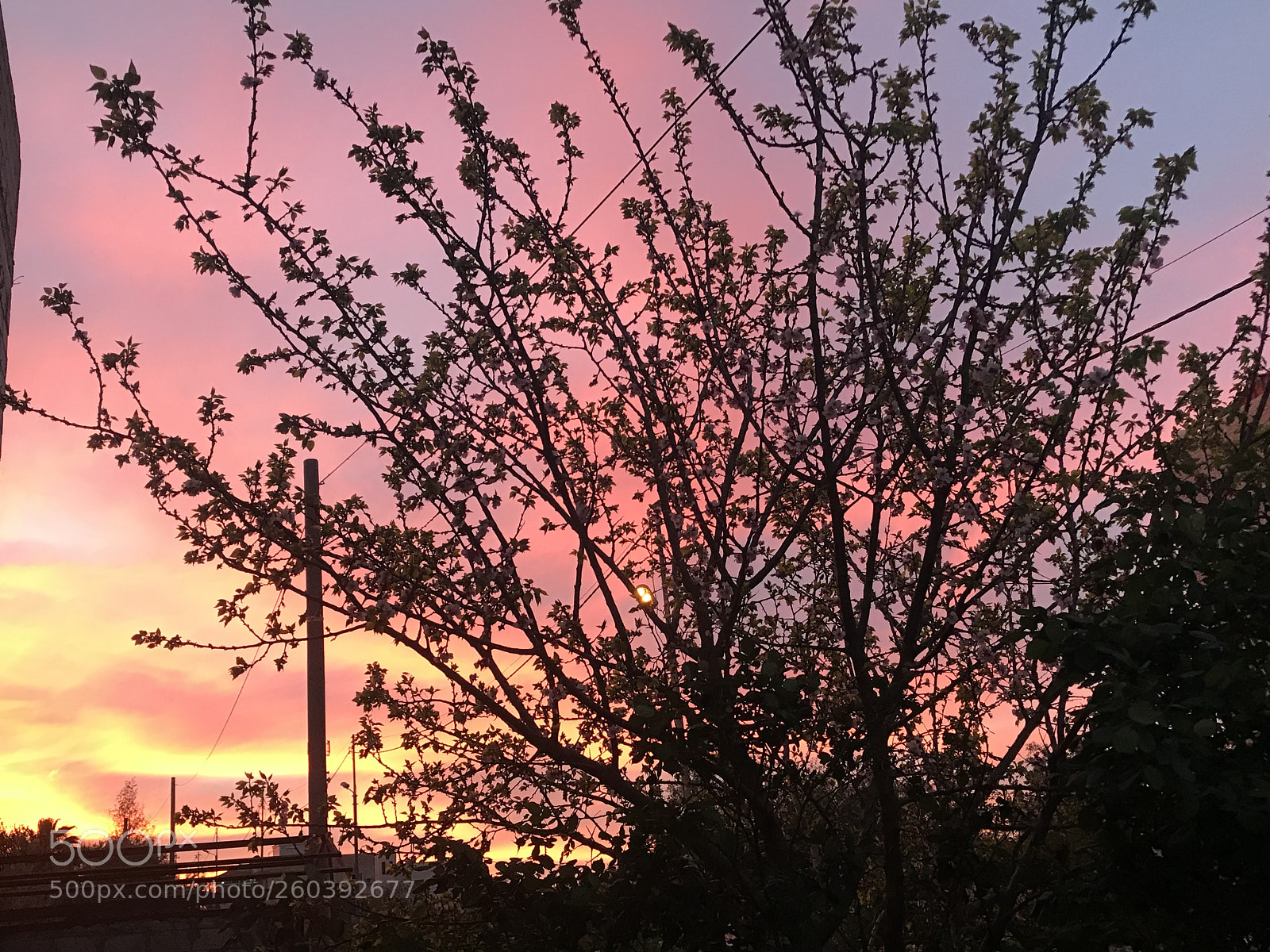 Apple iPhone 7 Plus sample photo. Spring  photography