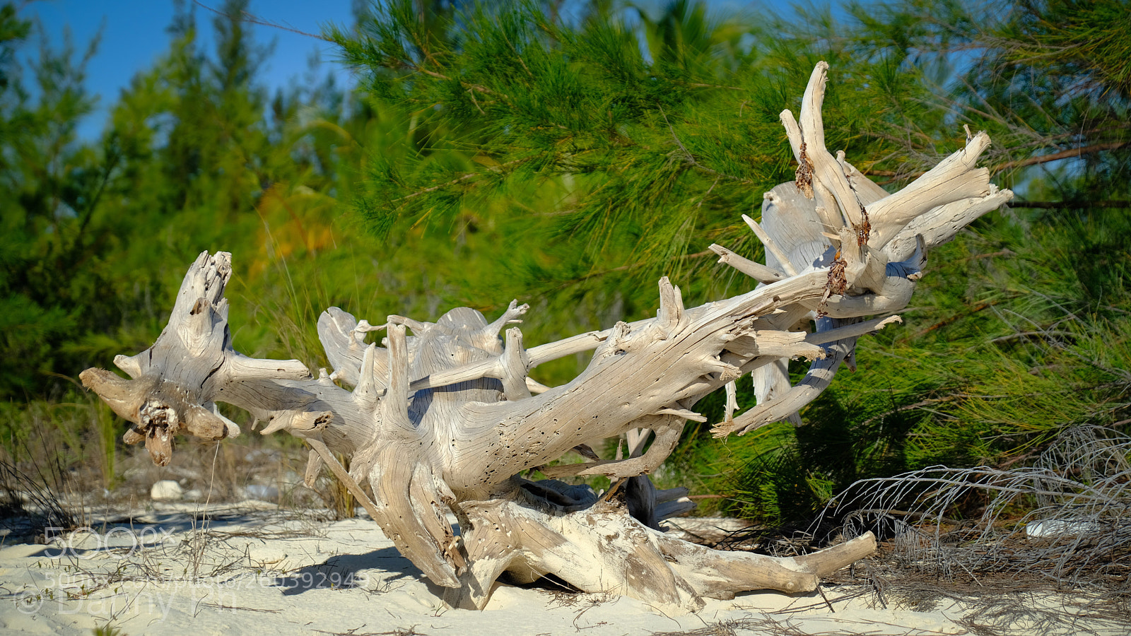Fujifilm X-T2 sample photo. Sculpture from the sea photography