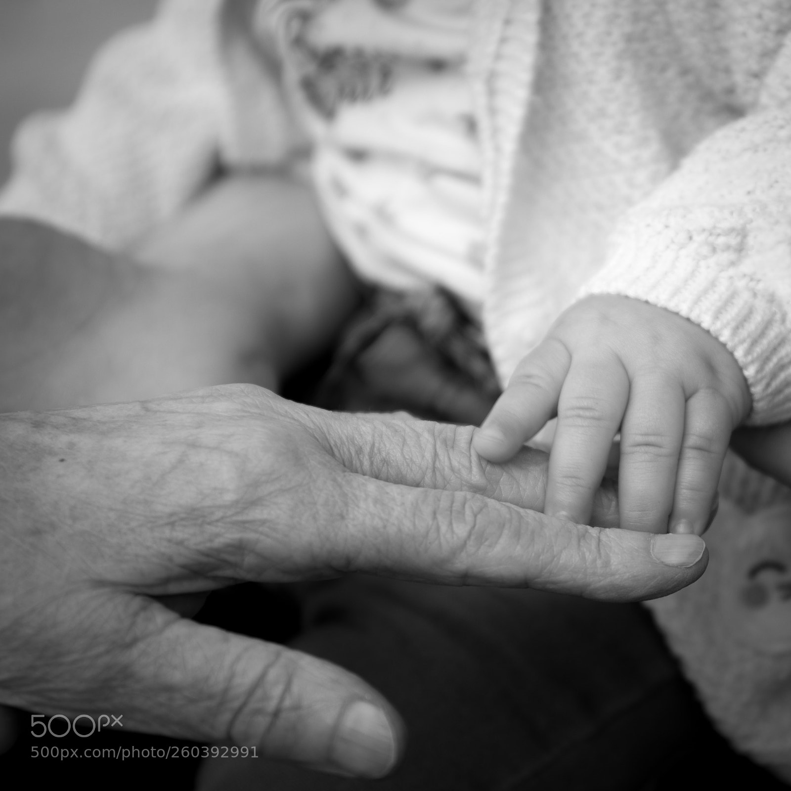 Canon EOS 5D Mark IV sample photo. 4 generations photography