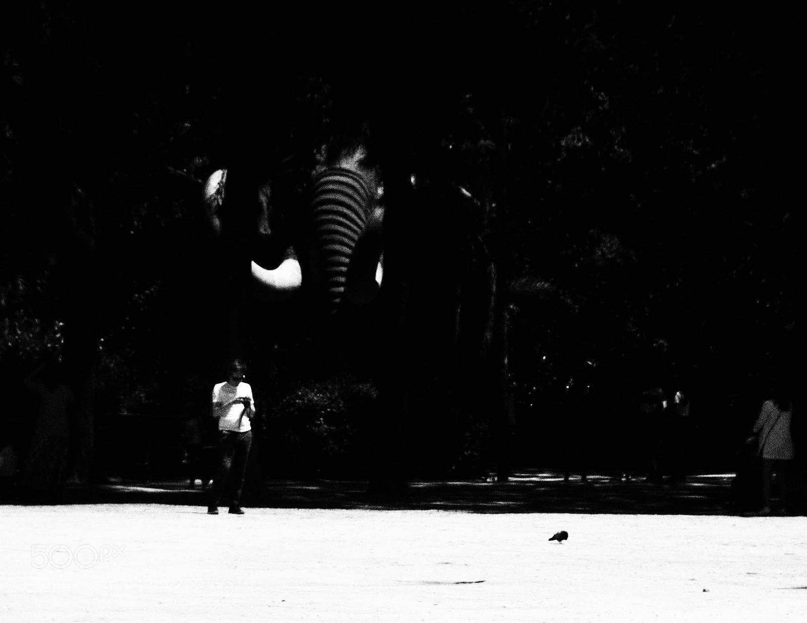 Olympus OM-D E-M5 II sample photo. Distracció photography