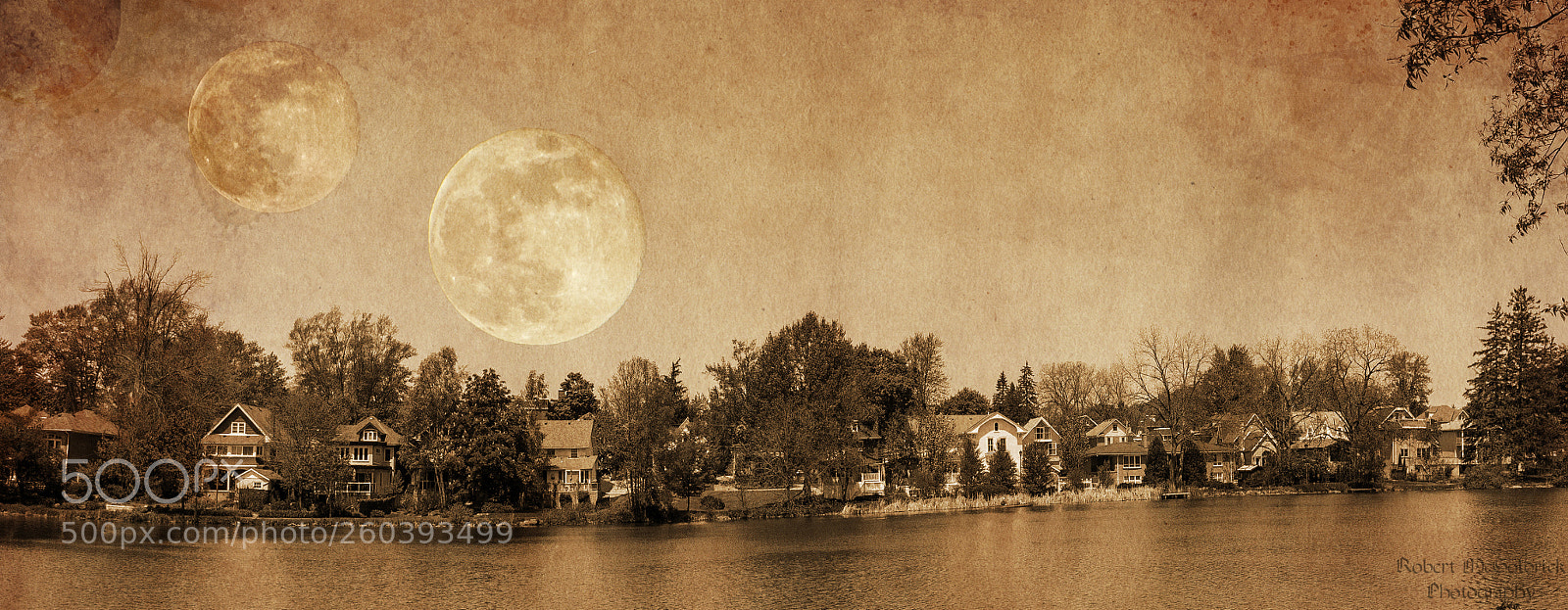 Nikon D3100 sample photo. The day the moon photography