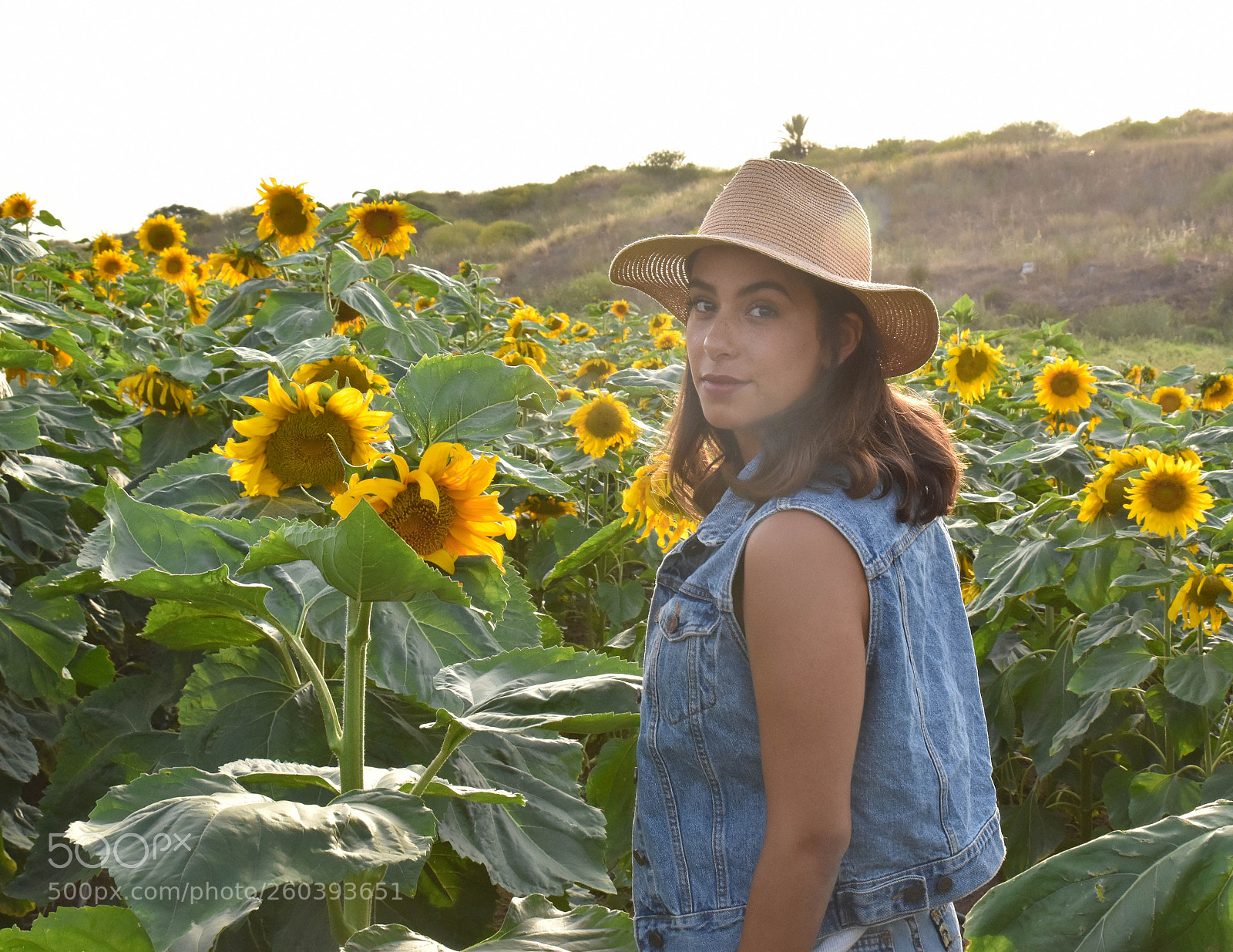 Nikon D5500 sample photo. Untitled photography