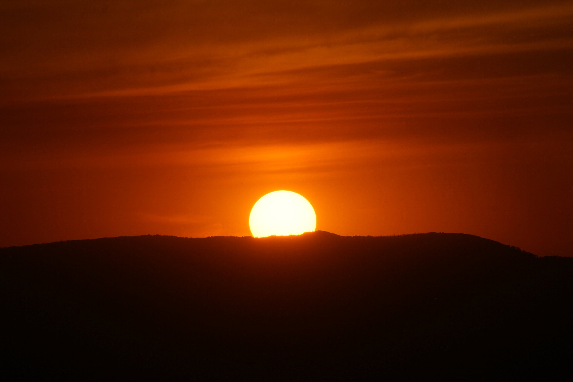 Sony 75-300mm F4.5-5.6 sample photo. Sol photography