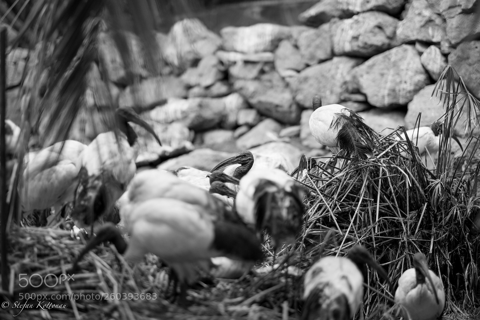 Fujifilm X-Pro2 sample photo. Family photography