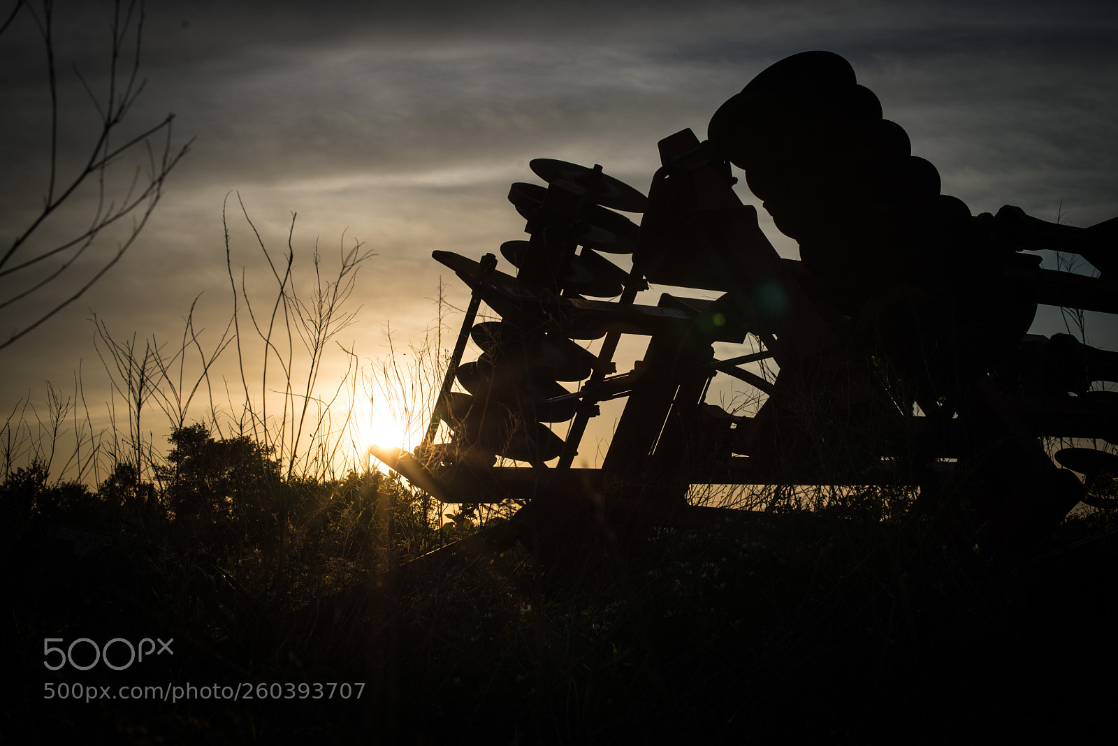 Nikon D610 sample photo. Southern sunset photography