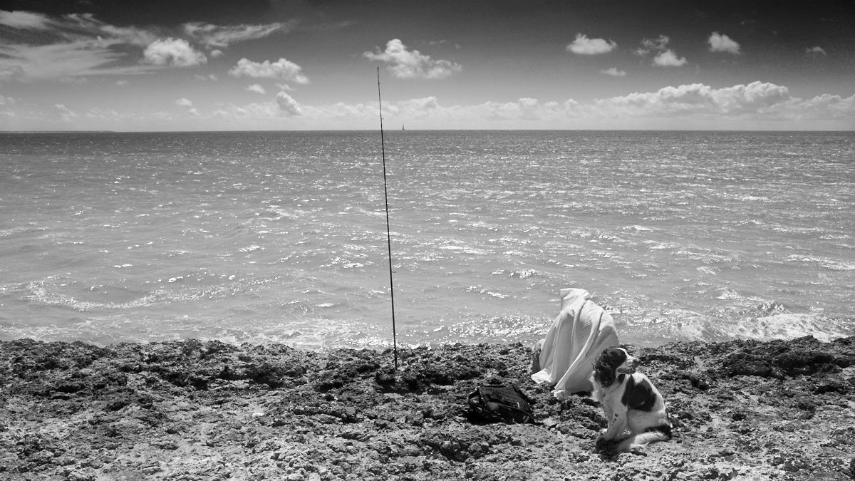 Ricoh GR sample photo. Fishing incognito photography