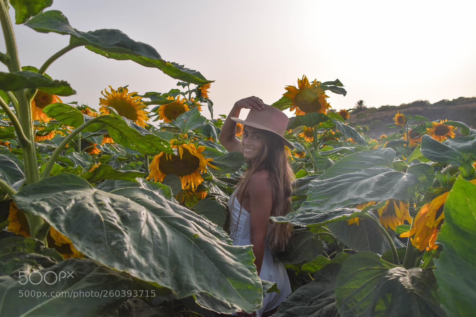 Nikon D5500 sample photo. Untitled photography