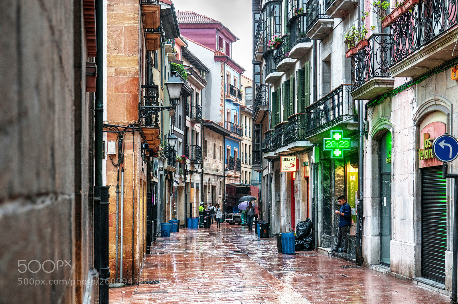 Nikon D300 sample photo. Calle mojada photography
