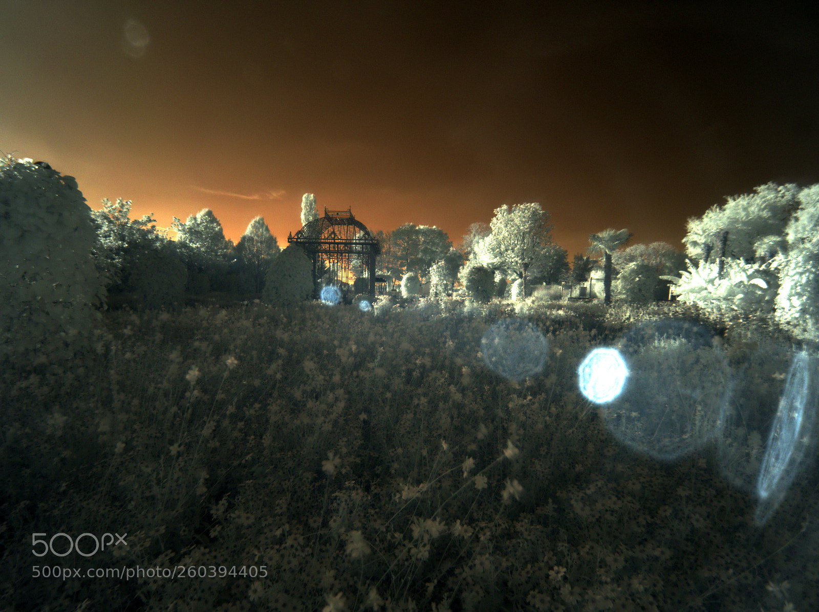 Olympus OM-D E-M10 II sample photo. Hirschstätten in infrared photography