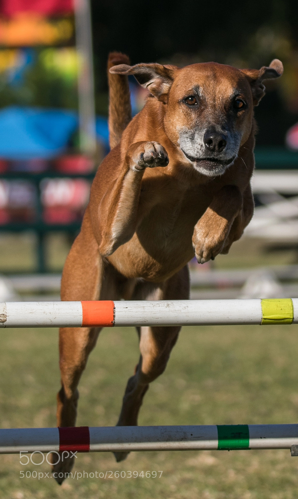Canon EOS 7D Mark II sample photo. Up and over photography