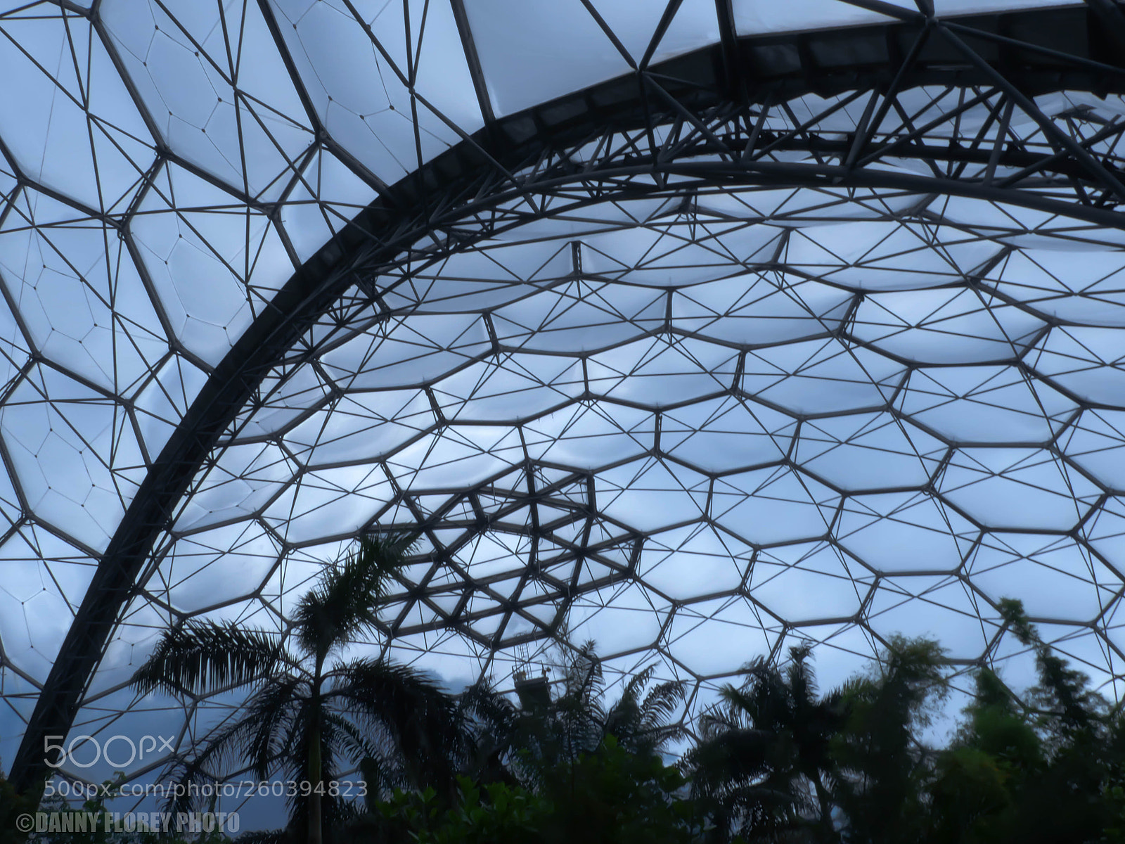 Panasonic Lumix DMC-GX8 sample photo. Biome 2 photography