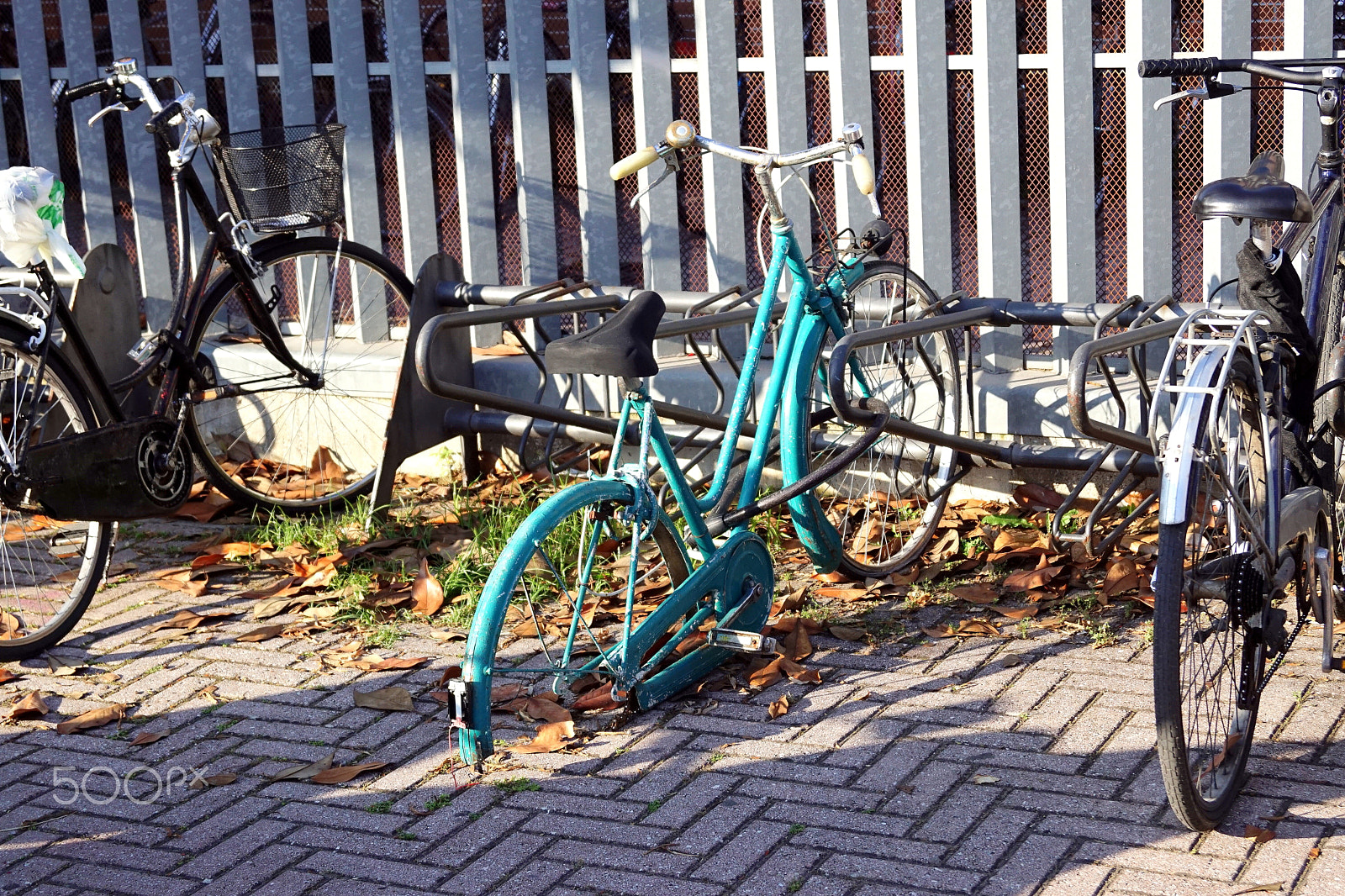 Sony SLT-A68 sample photo. Rower- bicycle photography