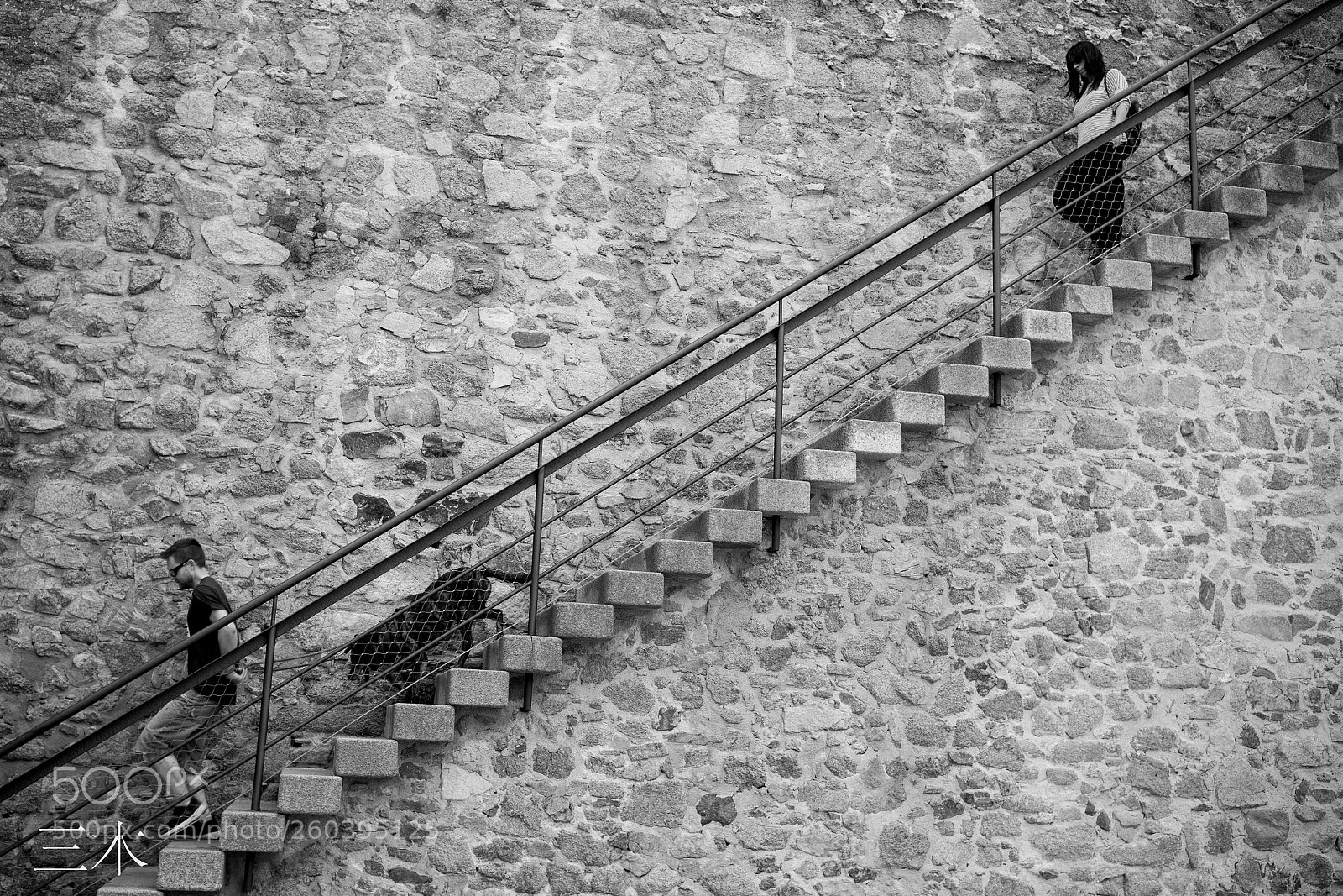 Canon EOS-1D X sample photo. Untitled photography
