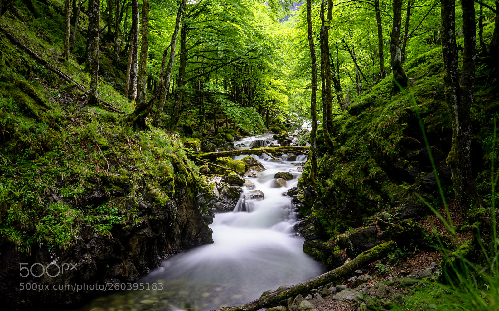 Sony a7 II sample photo. Ars river photography