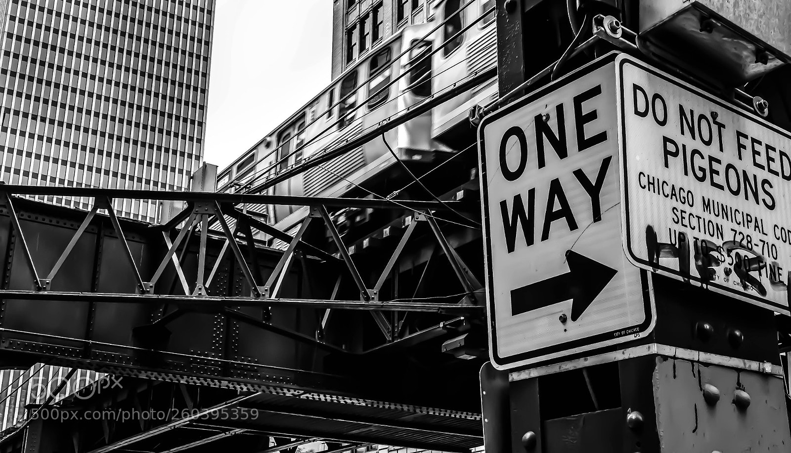 Nikon D5100 sample photo. Streets of chicago photography