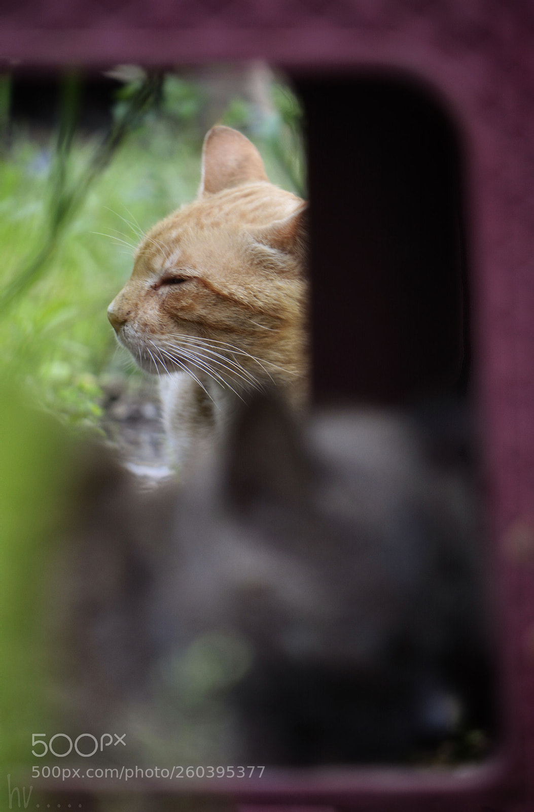 Nikon D7100 sample photo. Just waiting photography