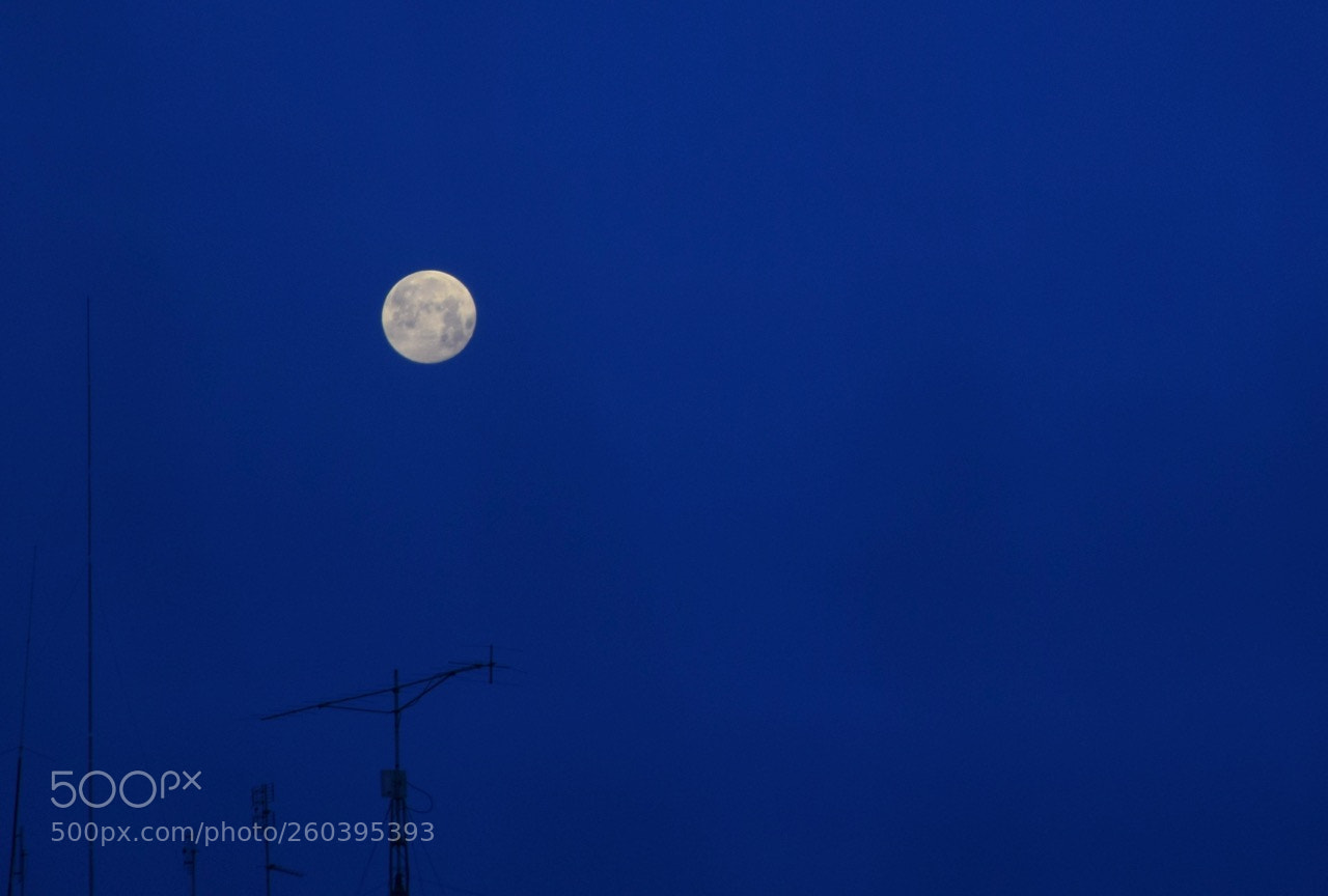 Nikon D3300 sample photo. Shy beautiful moon photography