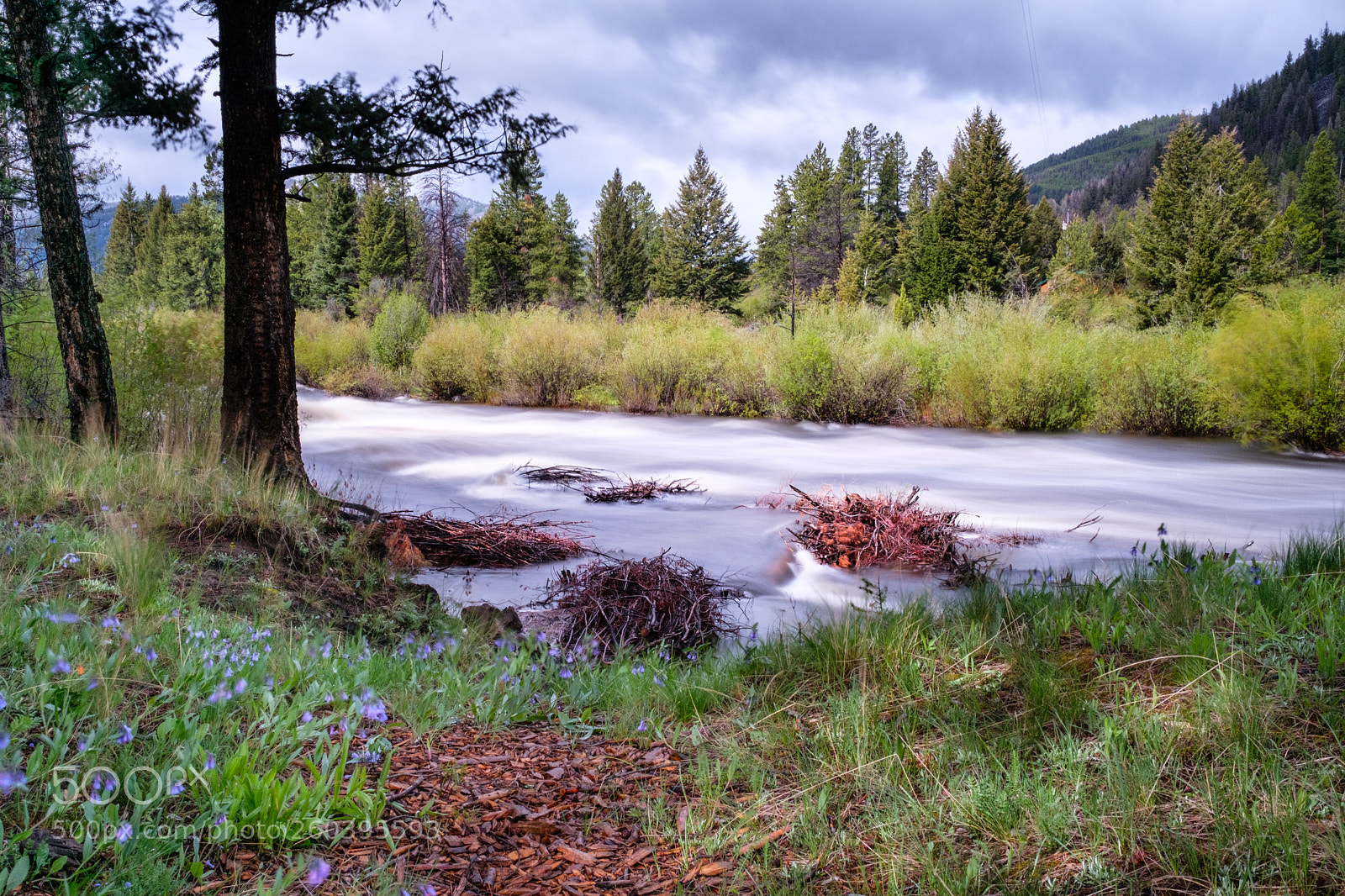 Fujifilm X-T2 sample photo. Wise river photography