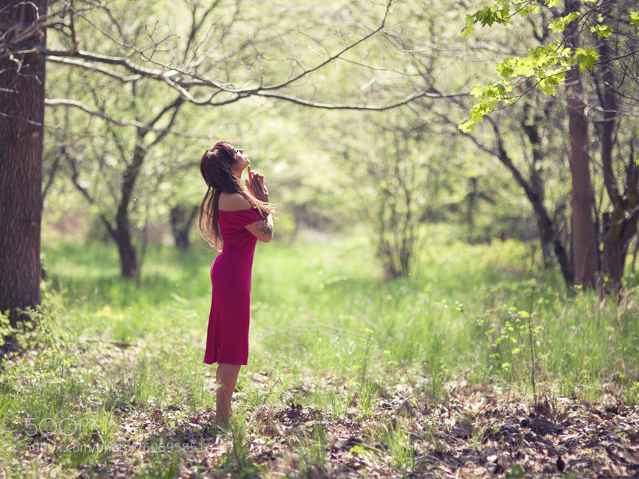 Canon EOS 5D Mark II sample photo. *** photography