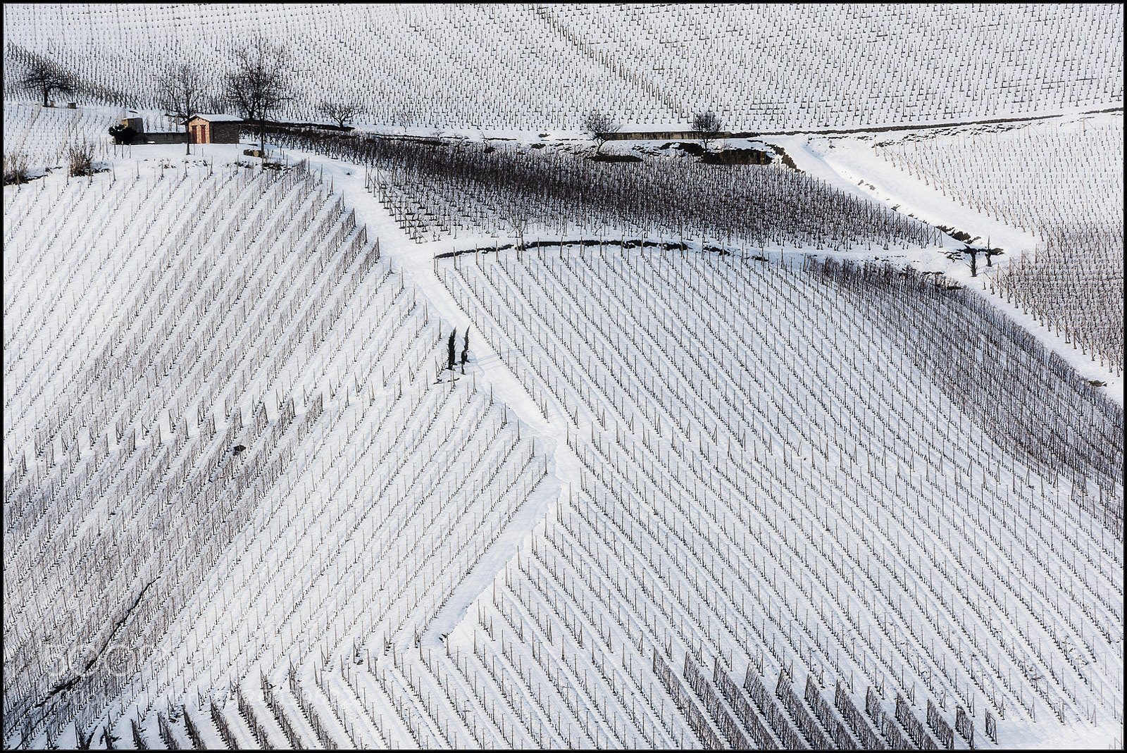 Nikon D7100 sample photo. Langhe photography