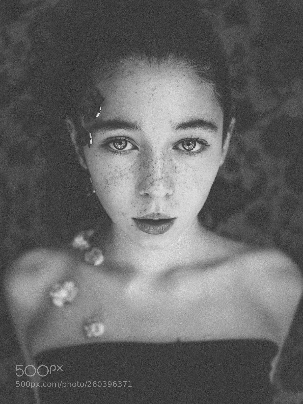 Olympus OM-D E-M10 sample photo. Niche photography