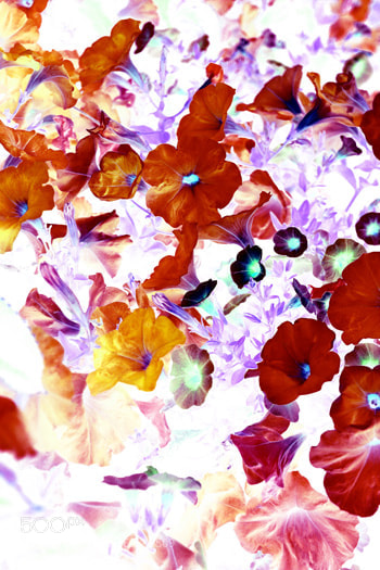 Nikon D7100 sample photo. Designer 092963 x10 photography