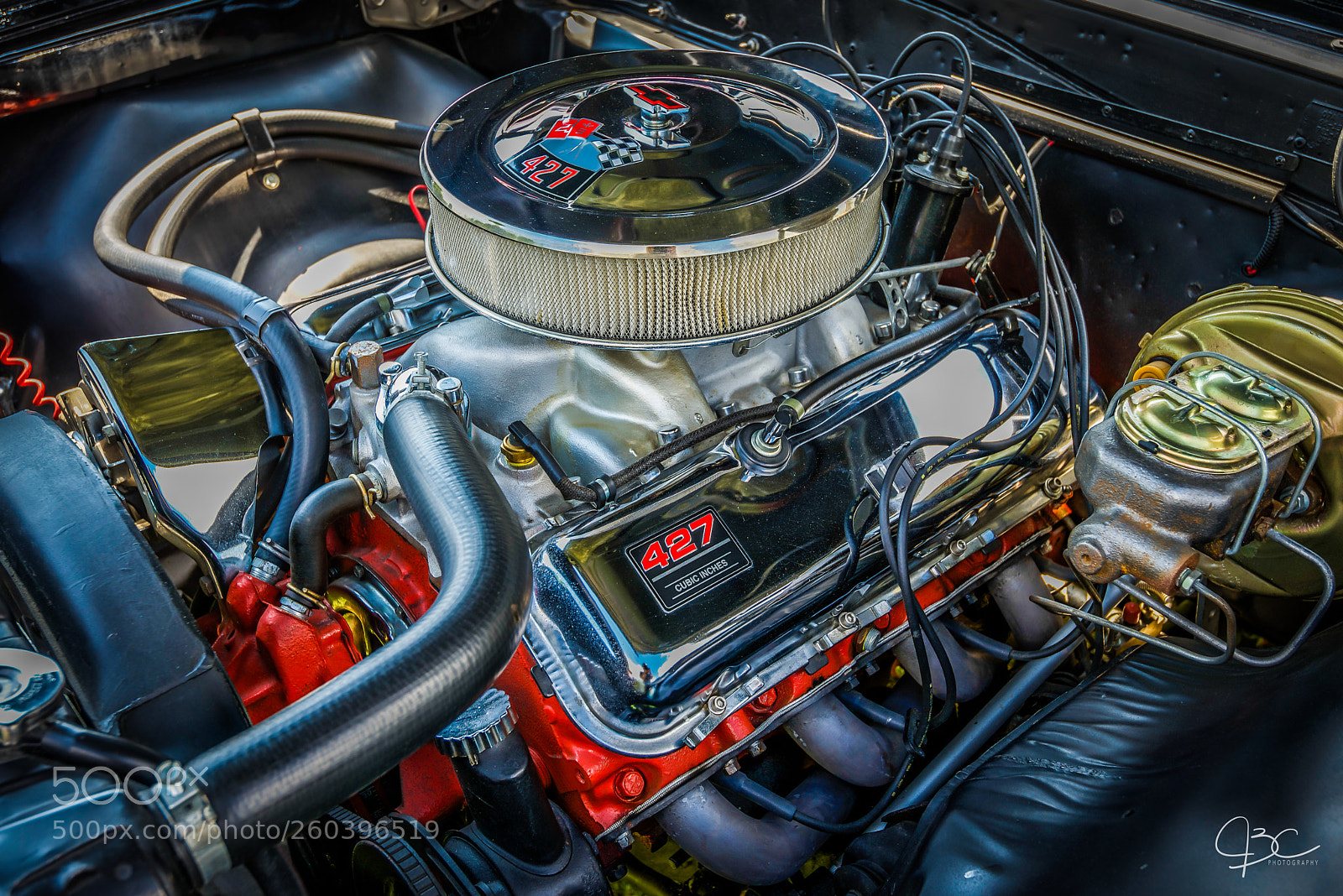 Nikon D800 sample photo. 427.jpg photography