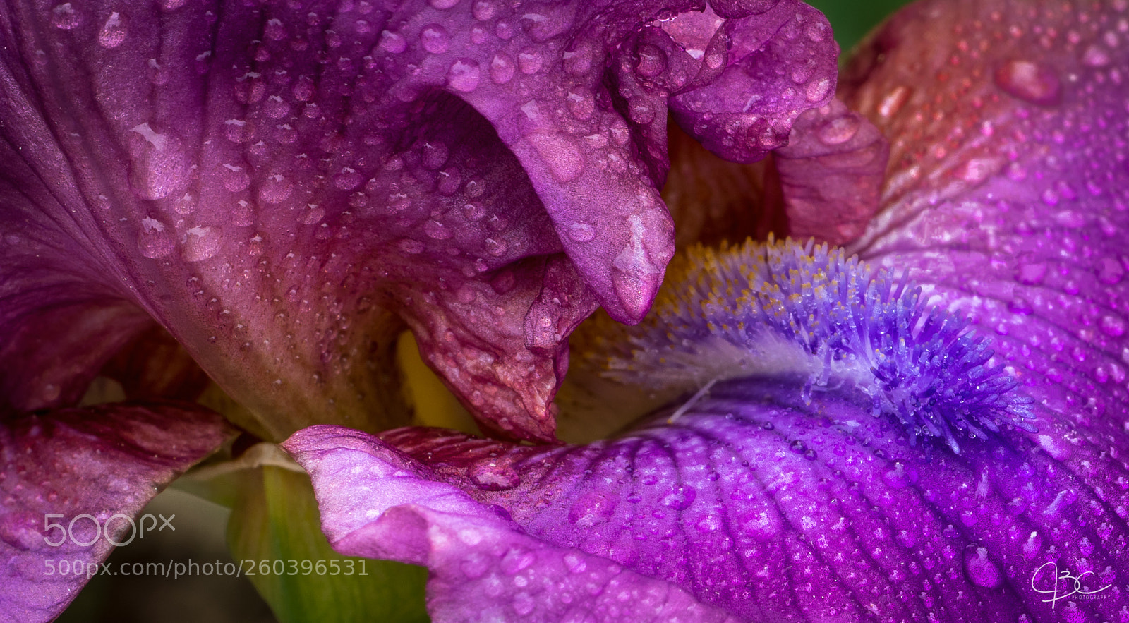 Sony a7R II sample photo. Abstract photography