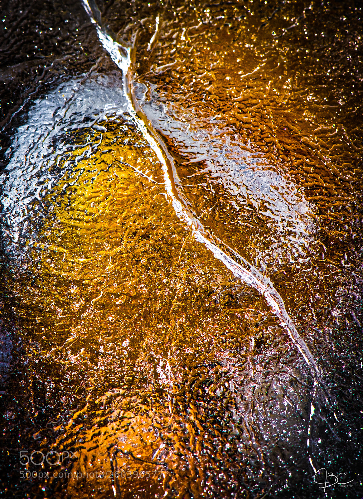 Nikon D800 sample photo. Frozen bird bath photography