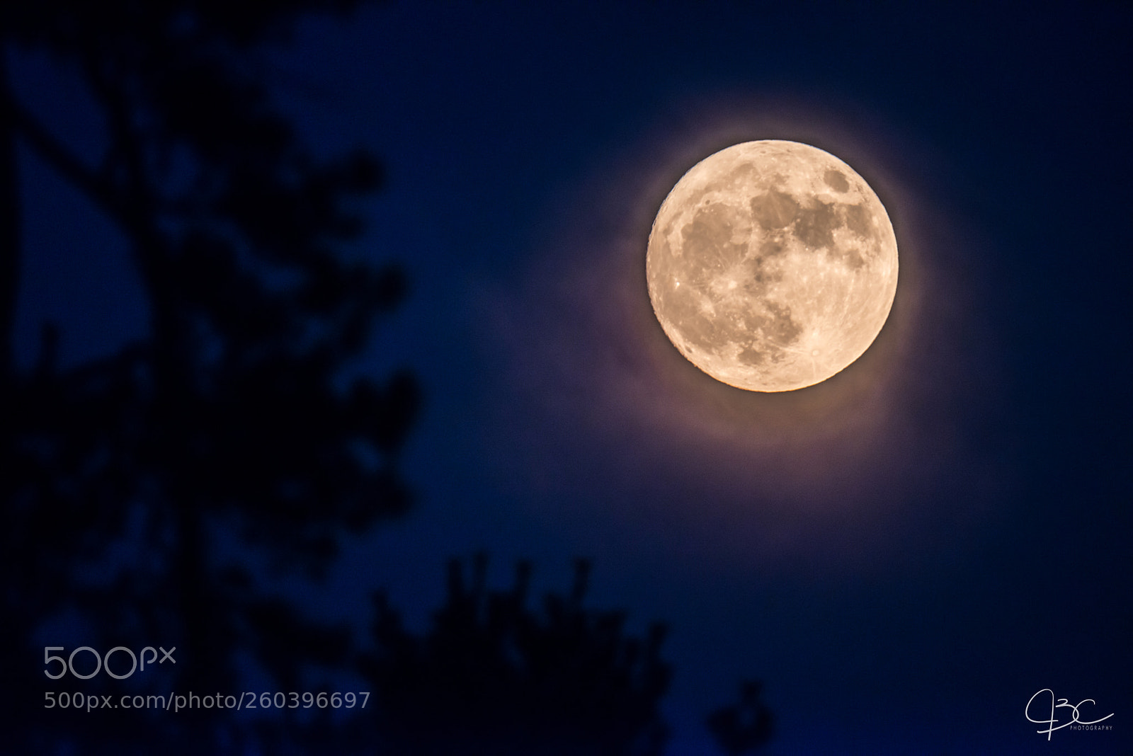 Nikon D800 sample photo. Super moon photography