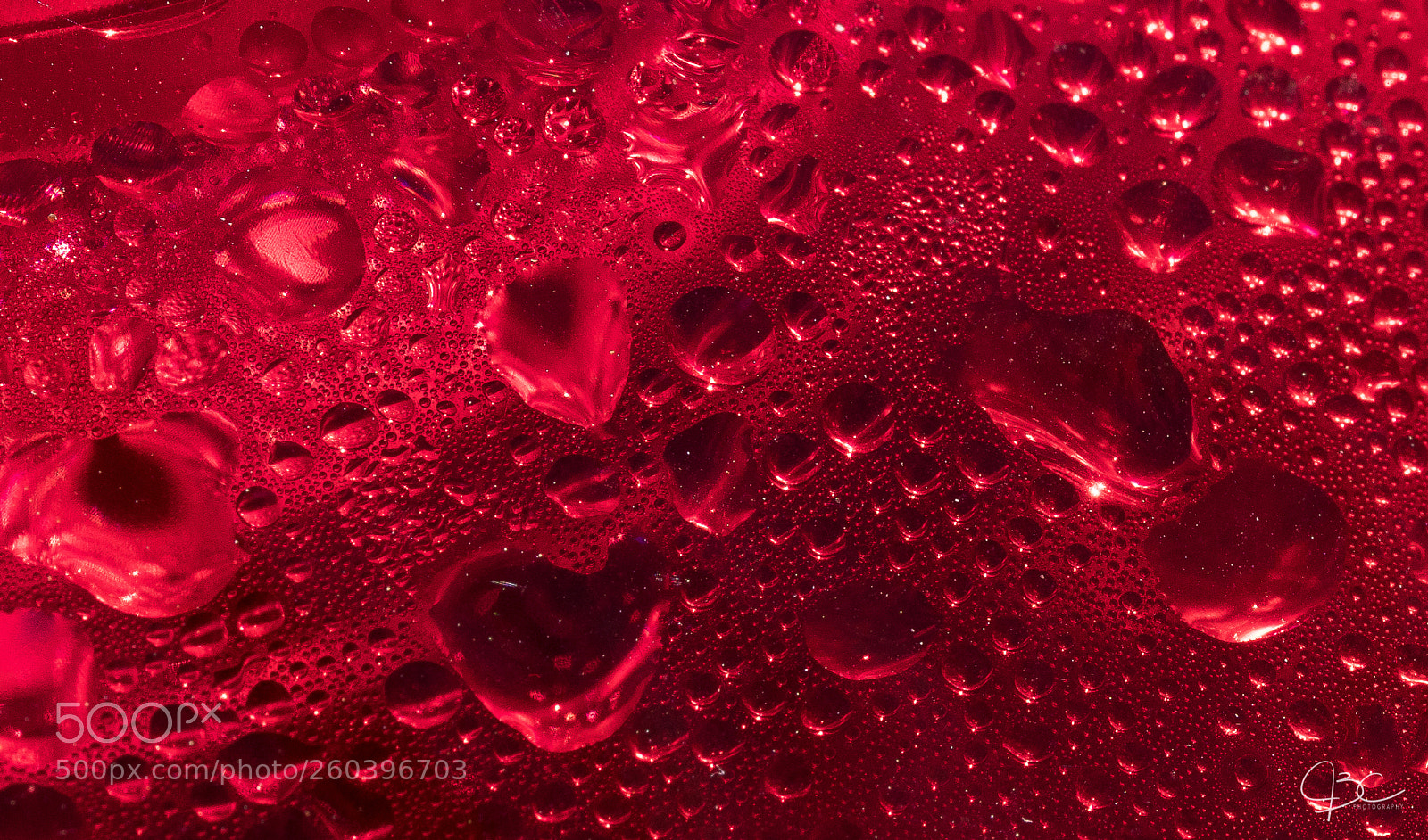 Sony a7R II sample photo. Wet photography