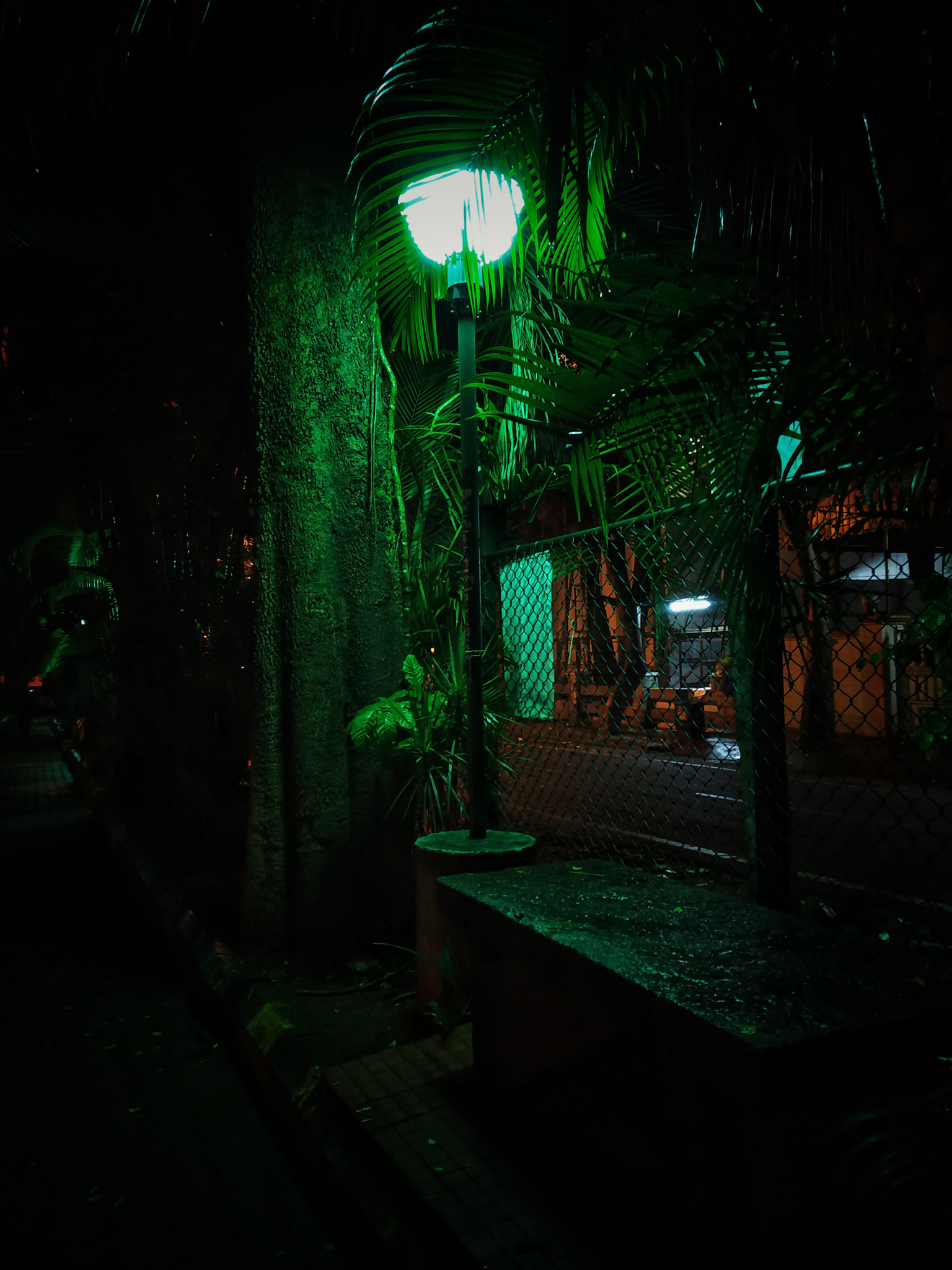Xiaomi Redmi Note 5 Pro sample photo. The most awesome pic in my clix today. ^…:) photography