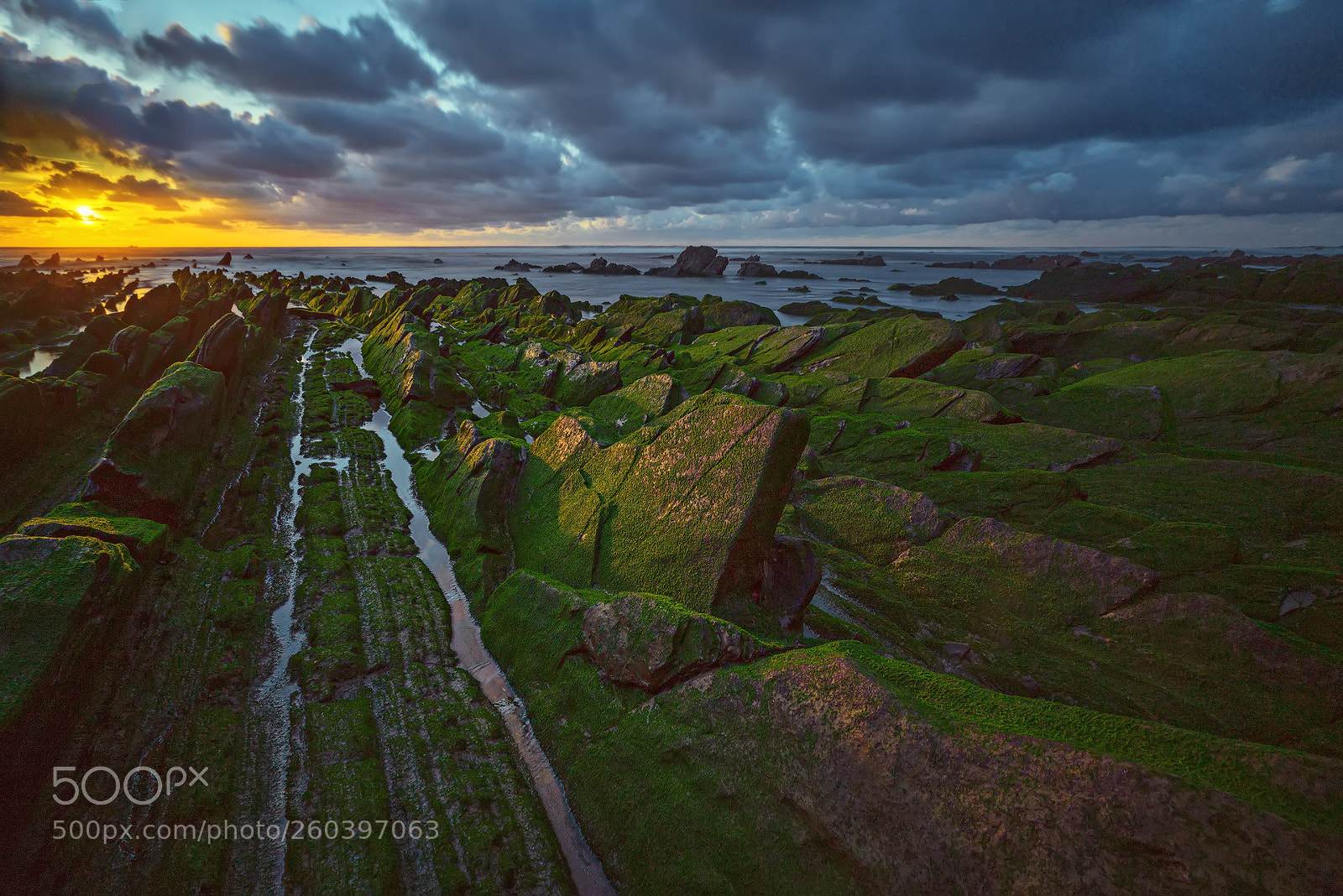 Sony a7R II sample photo. Barrika in green photography
