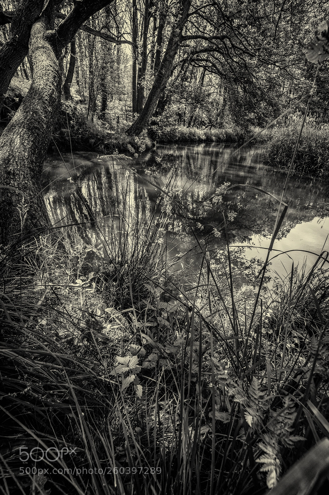Fujifilm X-H1 sample photo. Dutch landscape photography