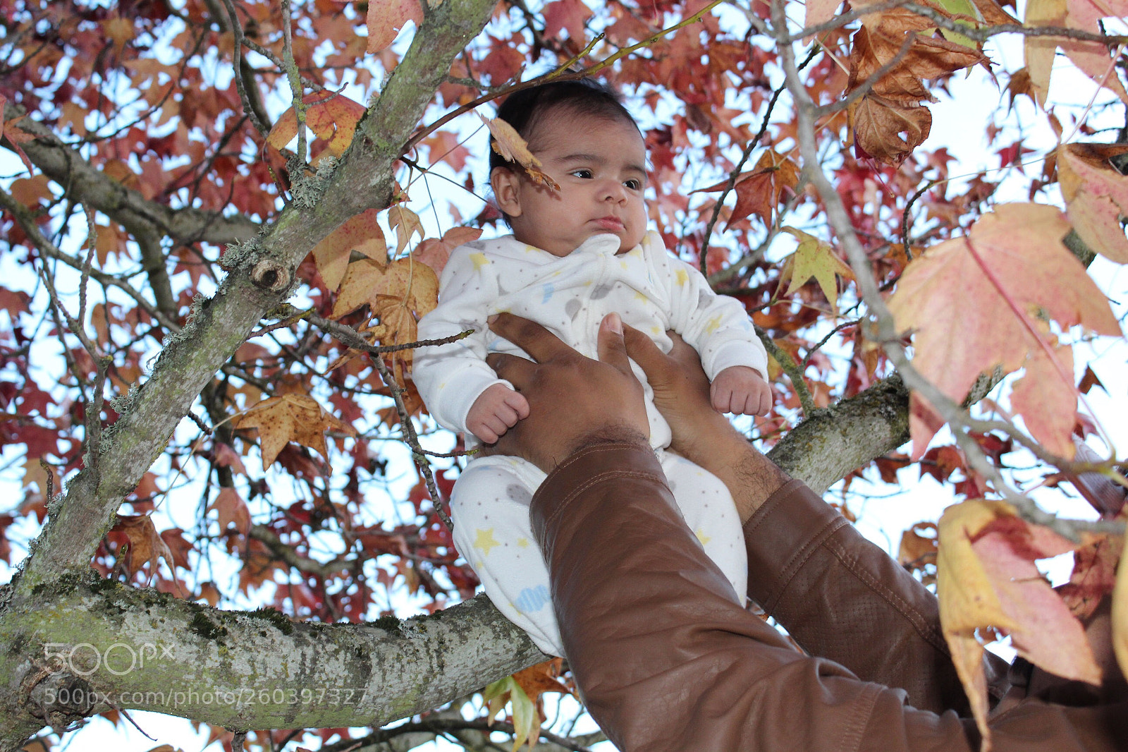 Canon EOS 1300D (EOS Rebel T6 / EOS Kiss X80) sample photo. My handsome son photography