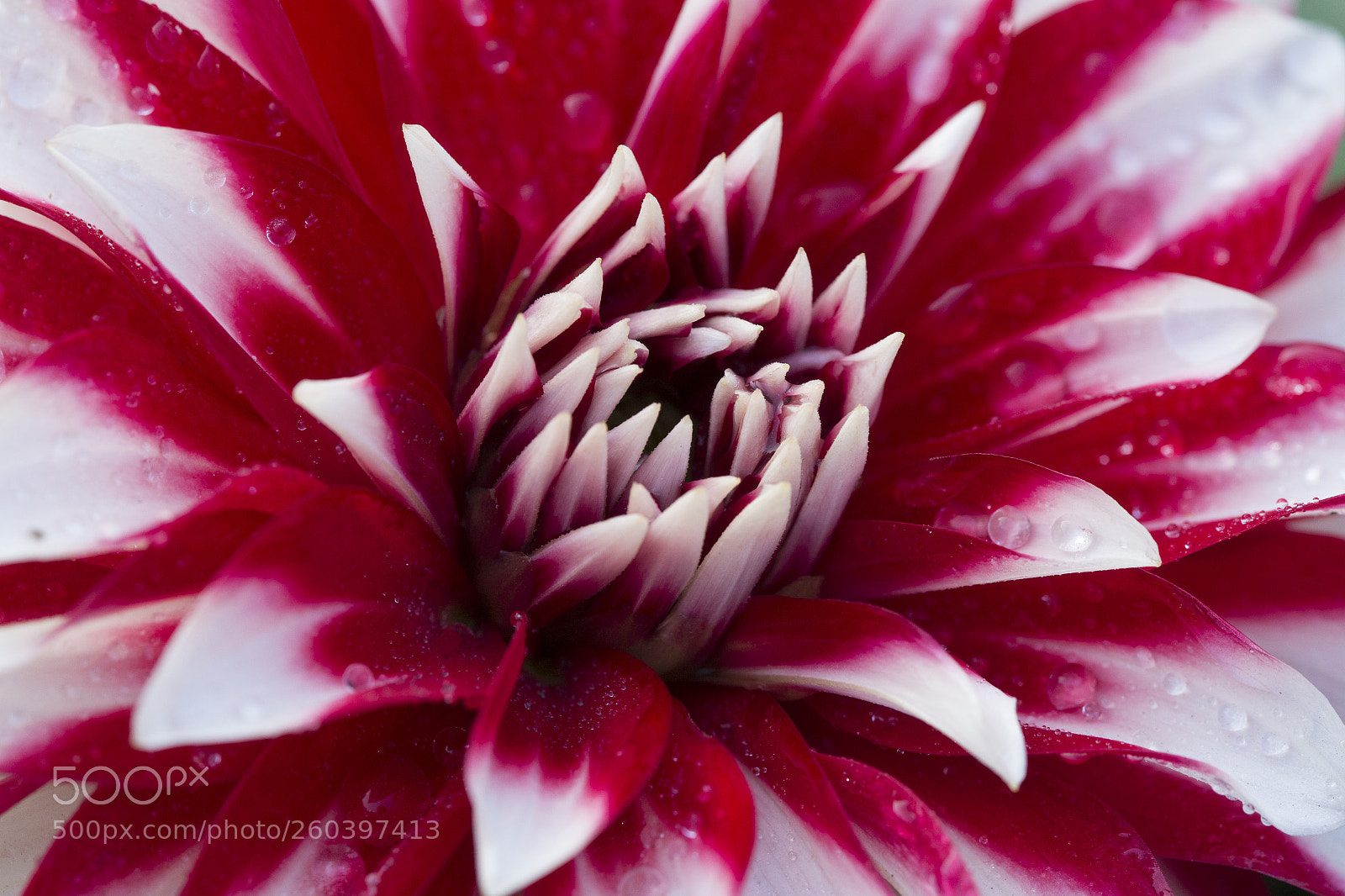 Canon EOS 6D sample photo. Img photography