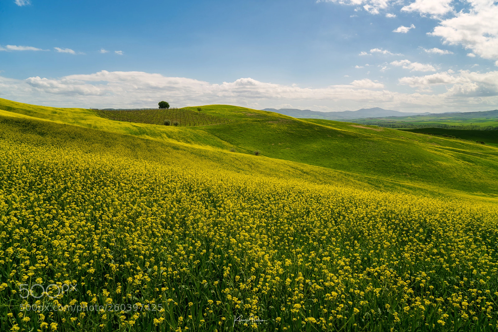 Sony a7R II sample photo. "summer color contrasts" photography