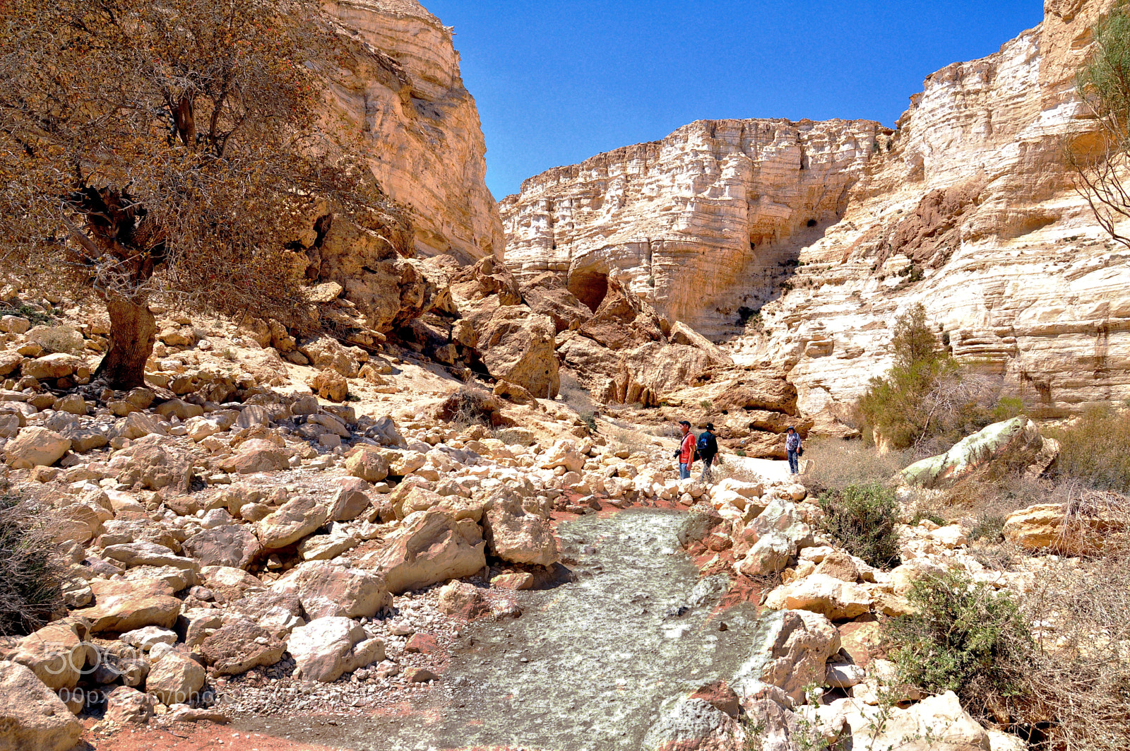 Nikon D90 sample photo. Ein awdat canyon(1) photography