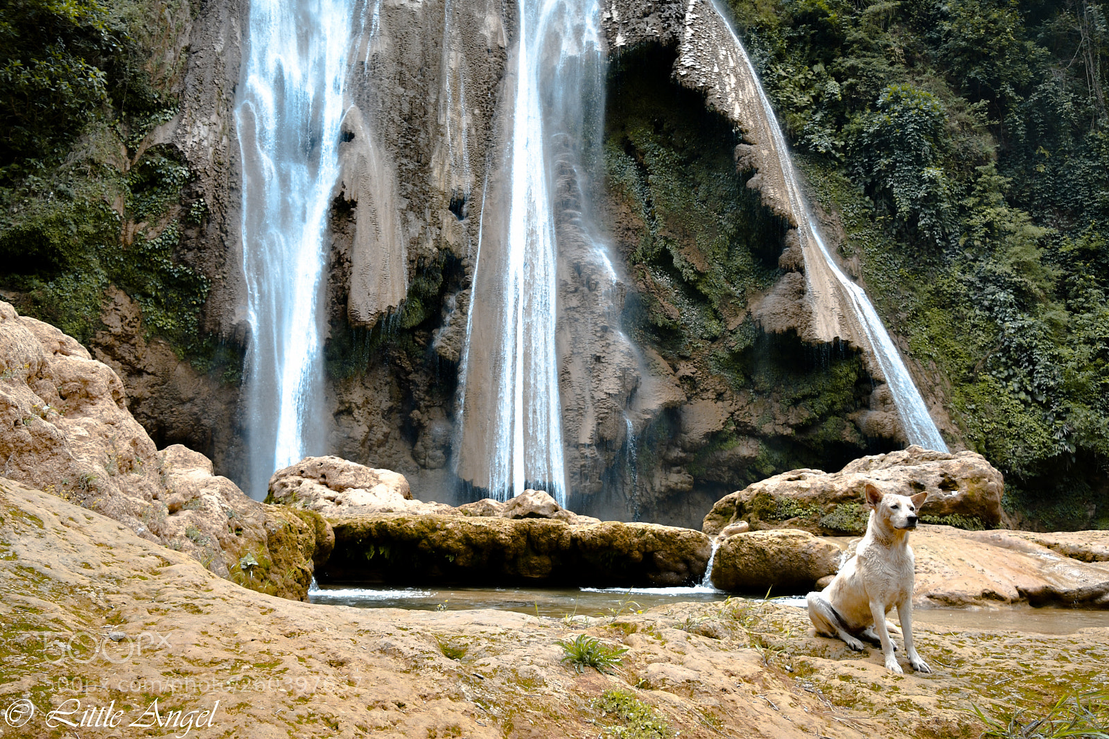 Nikon D500 sample photo. The real enjoyment photography