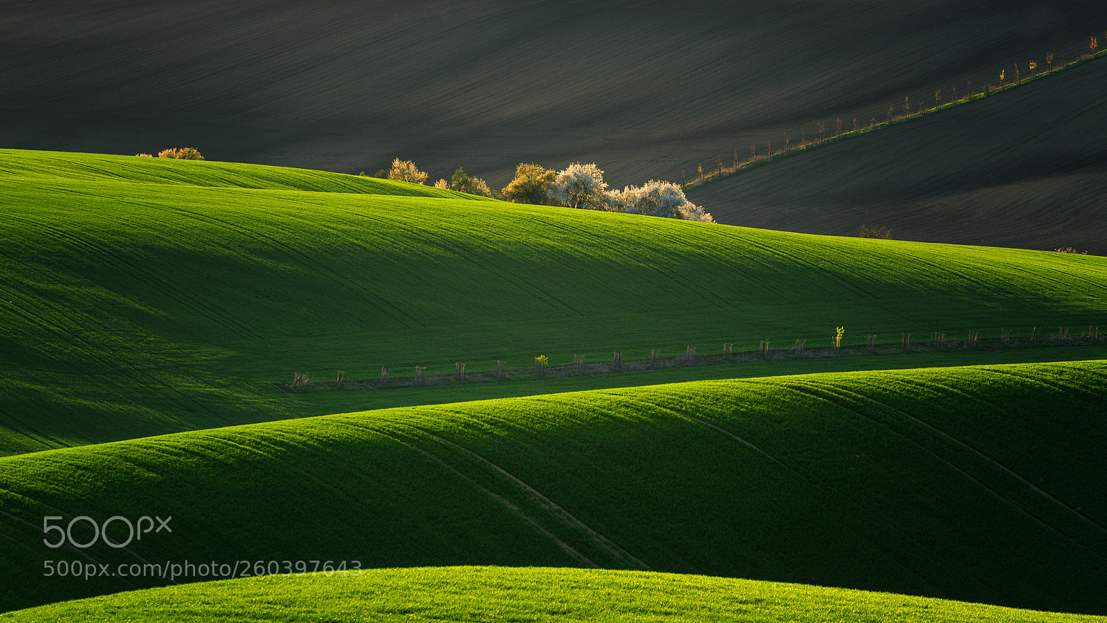 Nikon D610 sample photo. Moravian waves photography