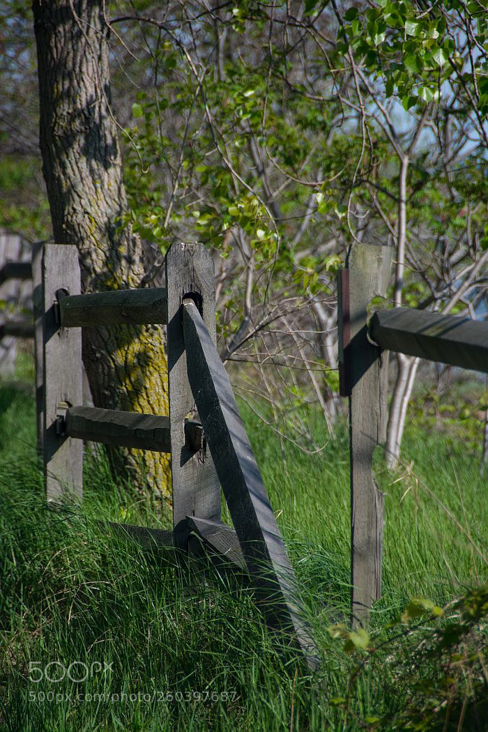 Nikon D7100 sample photo. Broken fence in liberty photography