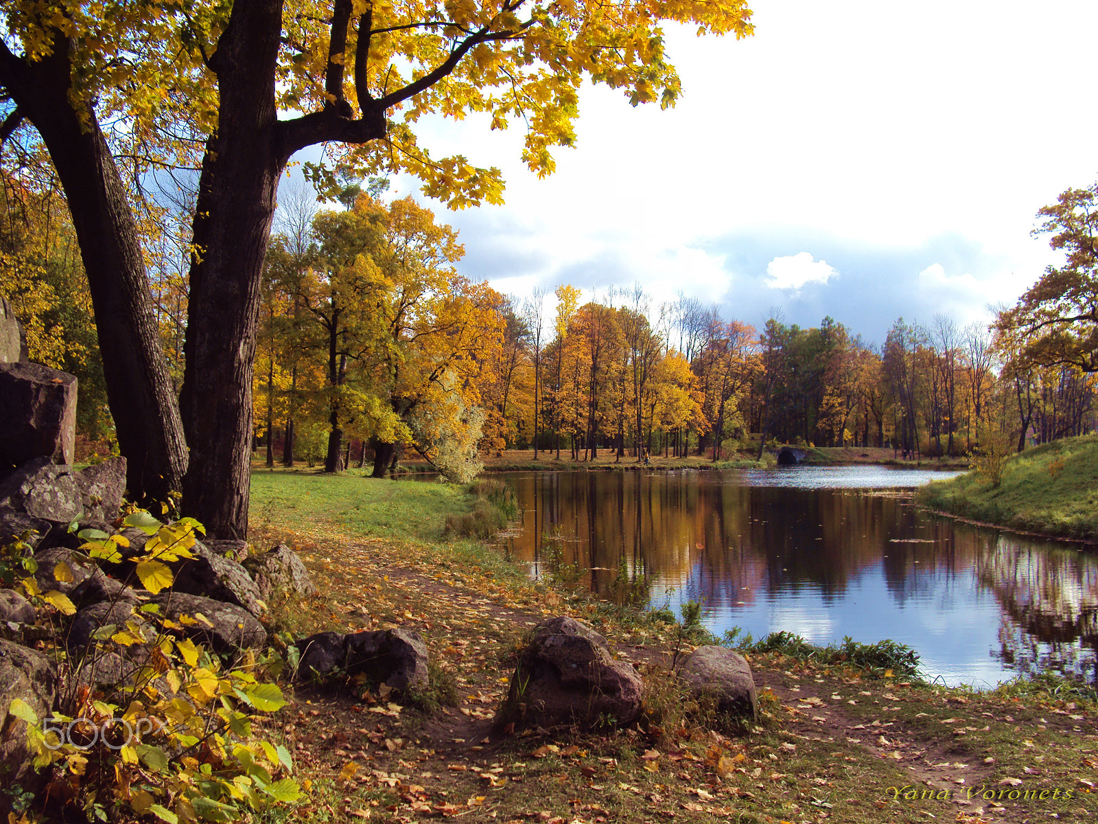 Sony DSC-W190 sample photo. Autumn by the pond photography