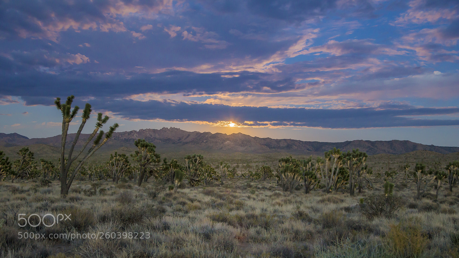 Canon EOS 6D sample photo. Moonrise over the mojave photography