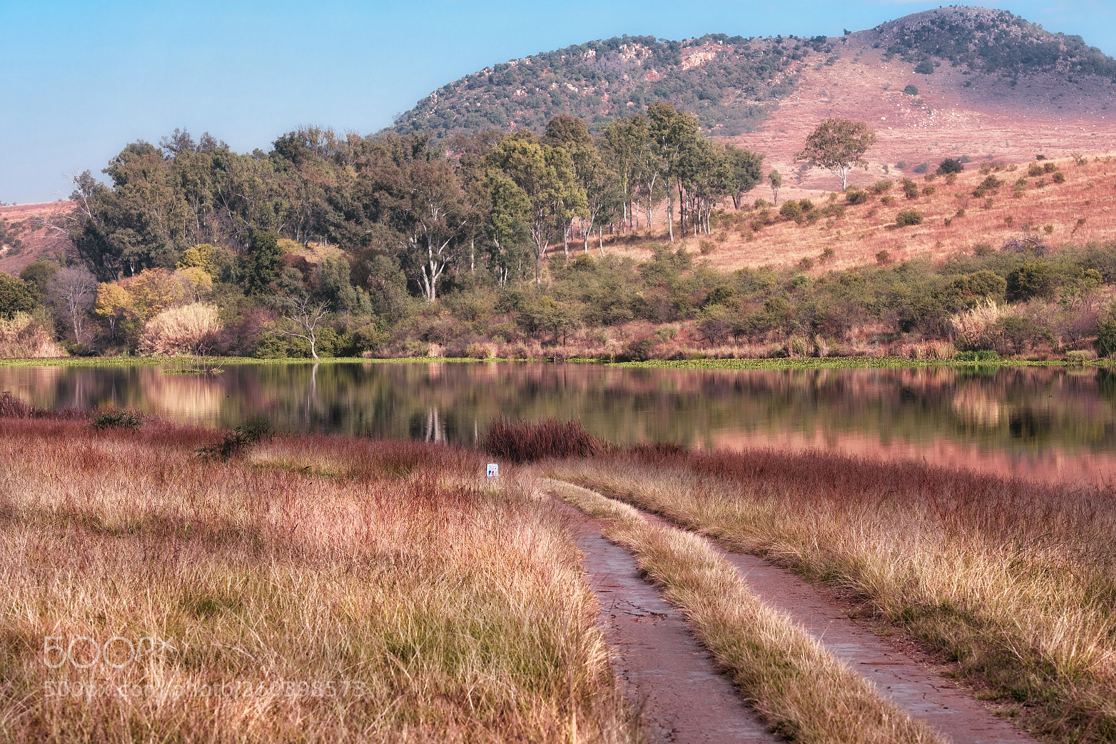 Nikon D750 sample photo. Autumn at heritage lake photography
