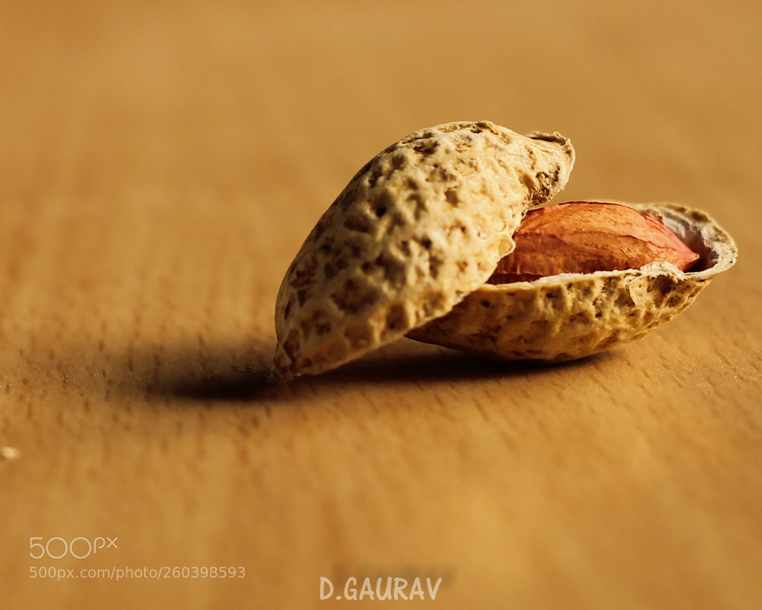 Canon EOS 1100D (EOS Rebel T3 / EOS Kiss X50) sample photo. Groundnut photography