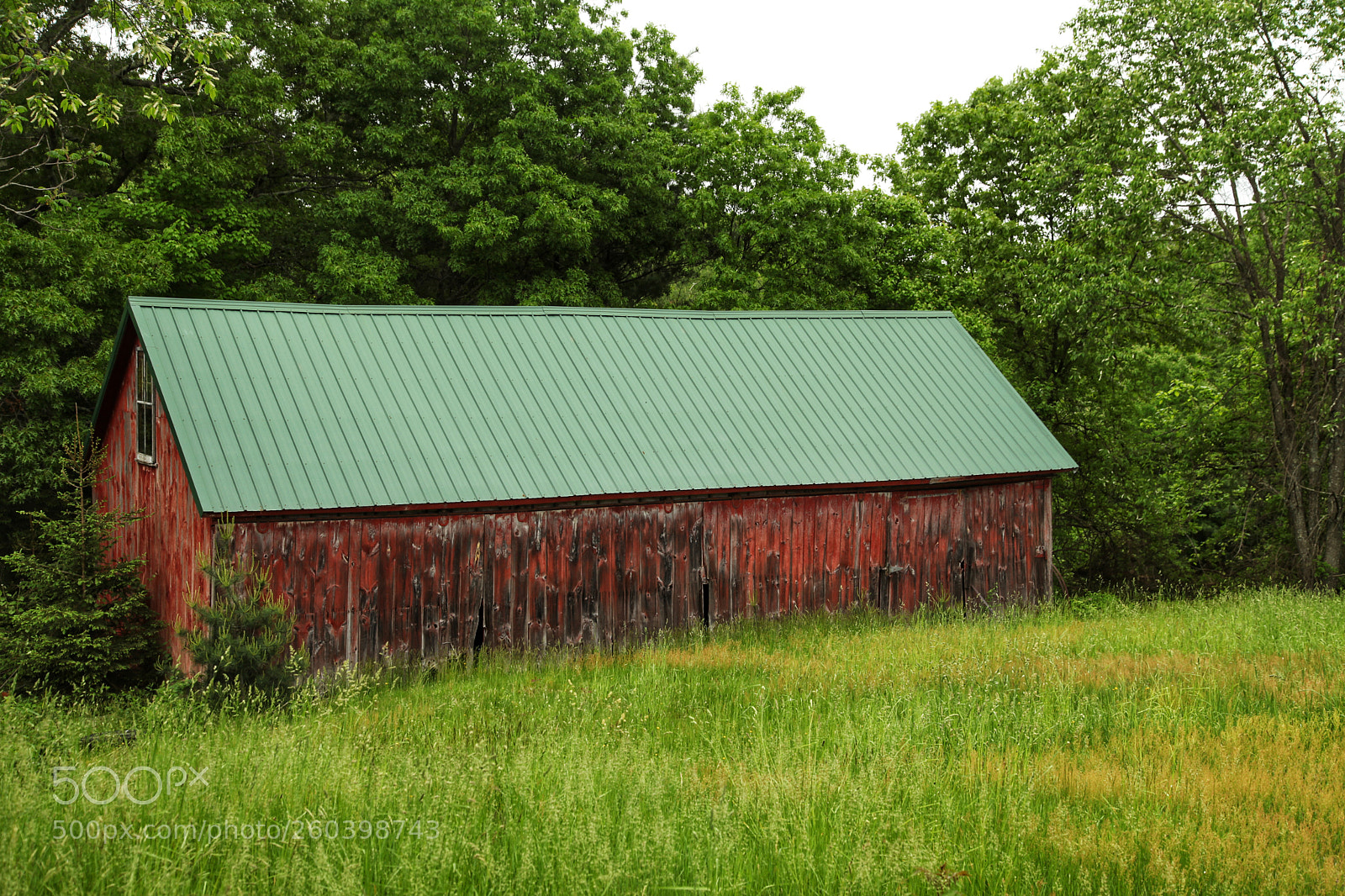 Canon EOS 5D Mark II sample photo. Green roof barn photography